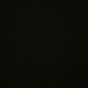 Meet your Posher, Audrey